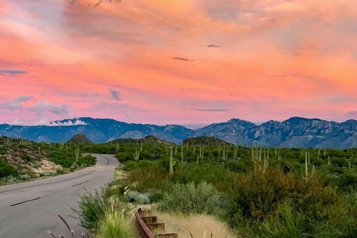 Sorry I Don’t Have A Picture (So I’m Just Putting A Random Pic) But On My 7th Bday I Got Scissors As A Present. It Wasn’t A Gag Gift