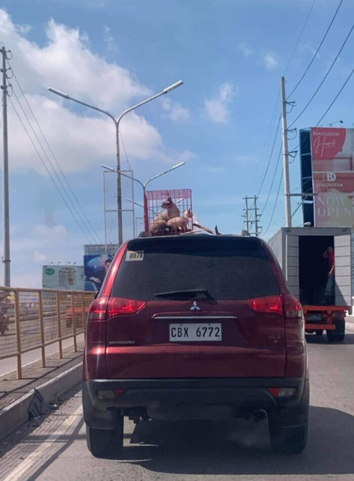 These Photos And Screenshots Were So Wrong And Infuriating, I Just Had To Share