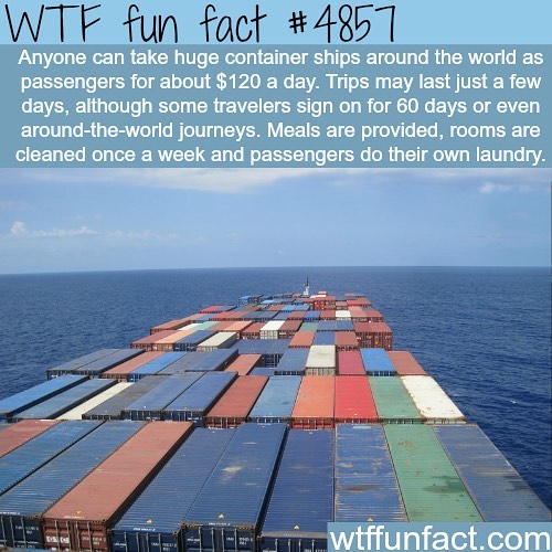 Weird-Fun-Facts