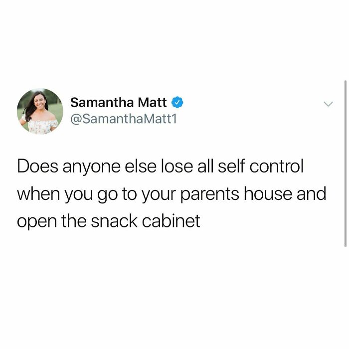 I Came For The Costco Sized Bag Of Veggie Straws And Hummus