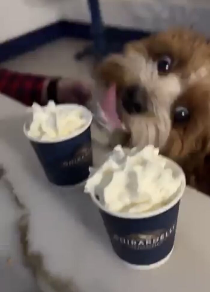 He Loves Whipped Cream
