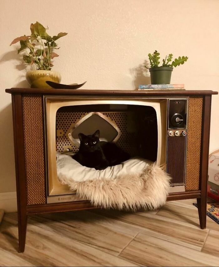 "1960s Zenith TV. We Took Out The Tube. Books, Bimorphic Dish, And Glazed California Pottery Plant Pot Were Thrifted Too."