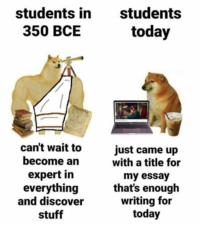Student-University-Life-Memes