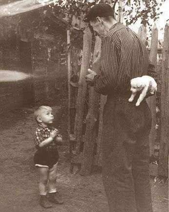 Little Boy About To Receive A Dog For His Birthday (1955)