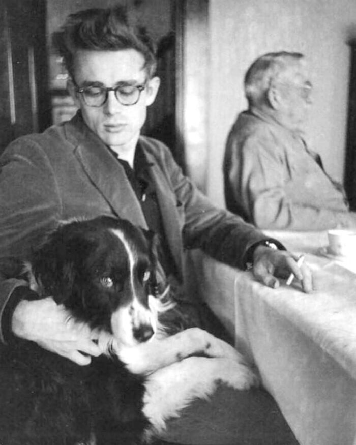 James Dean And His Border Collie, 1955