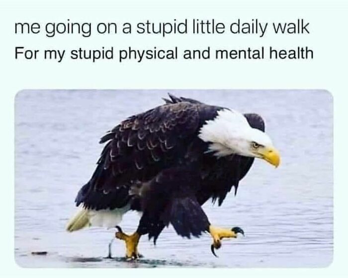 I Literally Just Did This.
now Imma Eat Chicken Wings And A Burger. There’s No Bun So That’s Healthy Right? It’s Called Balance Y’all!
what’s The One Thing You Have To Do For Your Mental Or Physical Health That You Have To Talk Yourself Into?
*full Disclosure I Really Enjoy Walking, Although With My Unrested Bitch Face I Probably Look Just Like That * - @therealjoirizarry
📸 @humor.and.mental.health
.
.
.
.
.
#physicalhealthismentalhealth #mentalhealthmemes🖤 #mentalhealthisimportant #physicalhealthmatters #takecareofyourself #anxiety #depression #asafeplaceinsideyourhead