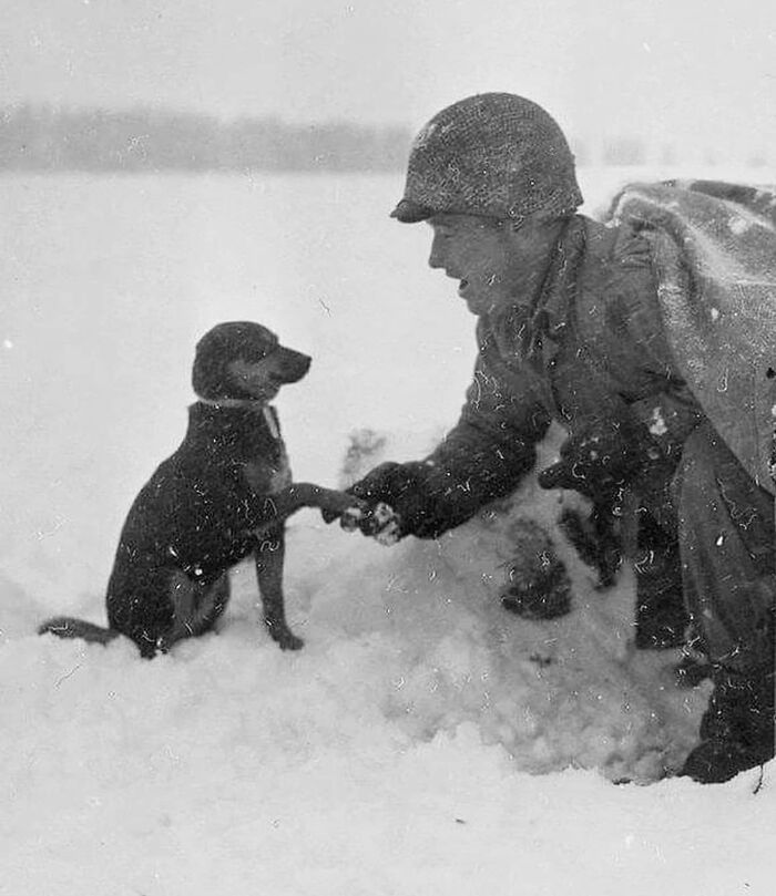 US Soldier Shakes Hand With A Dog In Luxembourg During The Battle Of Bulge, 1944