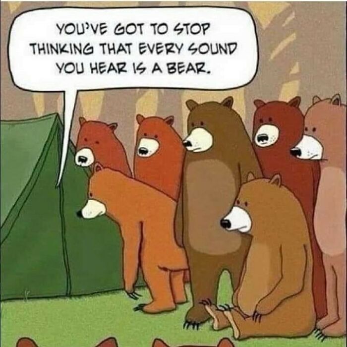 When You Think Everything’s A Bear 🐻