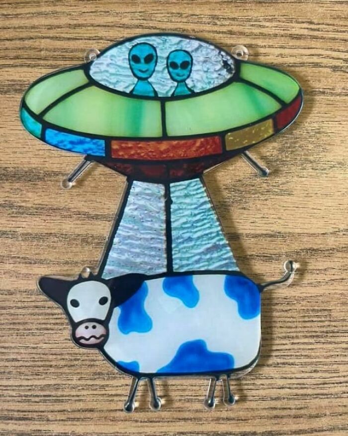 "This Showed Up In My Nonprofit Thrift Store In Tyrone, Ga. The Donator Said We Probably Didn’t Want This & I Said Heck Yes We Do! 😆👽🐂"