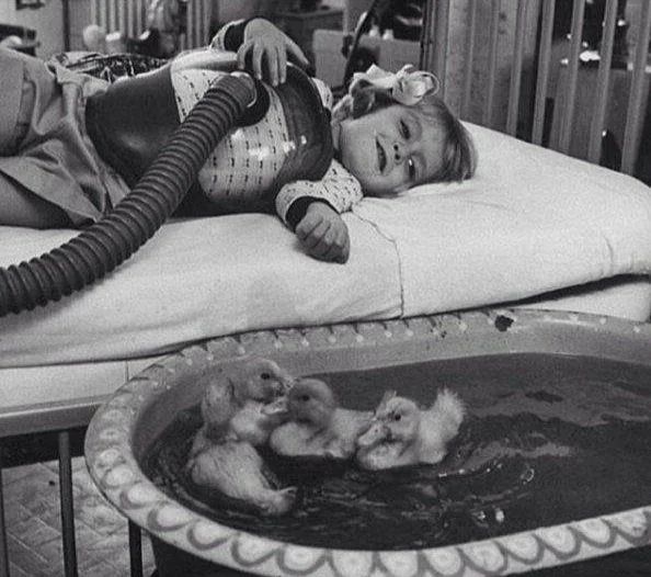 Ducklings Being Used As Part Of Medical Therapy In 1956