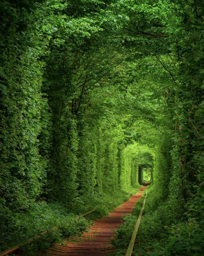 Tunnel Of Love, Ukraine
