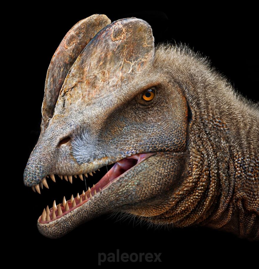 Dilophosaurus V2