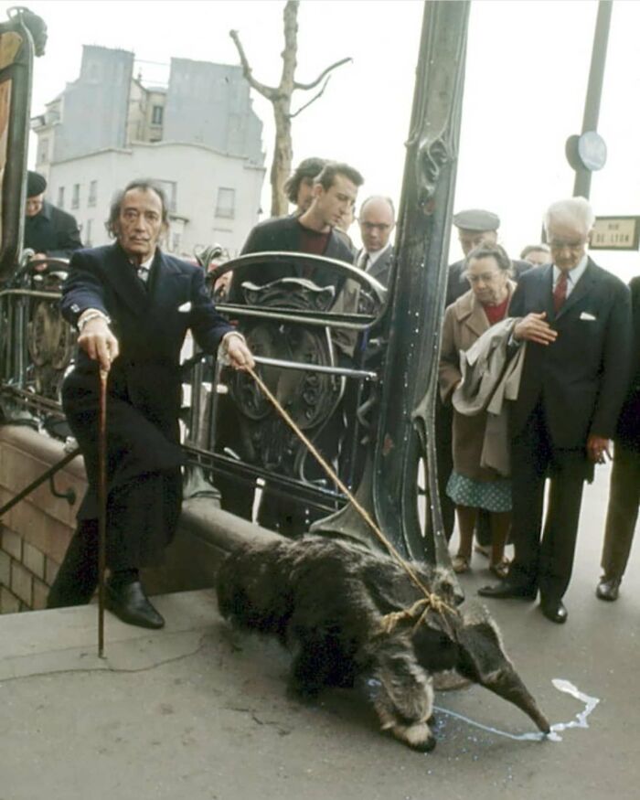 Salvador Dali Taking His Anteater For A Walk In Paris, 1969