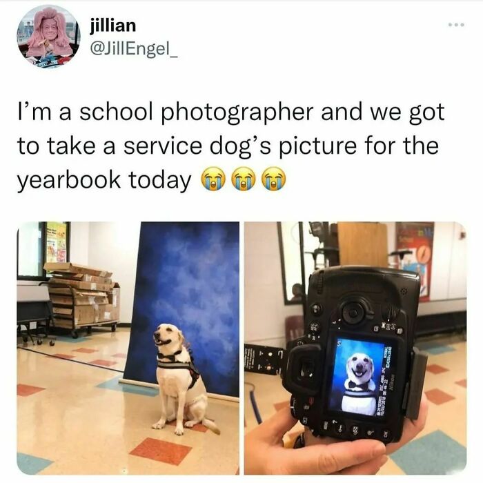 He Understood The Assignment. Glad He Got His Deserved Spot In The Yearbook... Great Picture 🐕 ❤️