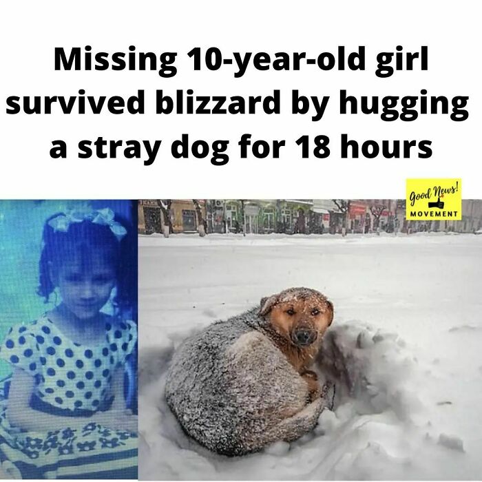 (Russia): On Jan 13, 10-Year-Old Vika Had Got Lost About Half A Mile From Her Home As She Returned From School In Uglegorsk As Snow Was Accumulating.
thankfully She Was Located 18 Hours Later, Sitting On A Mattress Below A Balcony Outside Of A Shelter, Clinging To A Stray Dog. She Told Authorities She Was "Hugging A Fluffy Dog For Warmth."
temperatures Plunged To -11c During The Snow Storm.
"The Fact That The Girl Remained Alive In Such Weather Really Is A Miracle," Volunteer Searcher Anatoly Ivanov, Told The Siberian Times.
photo Credits: The Siberian Times