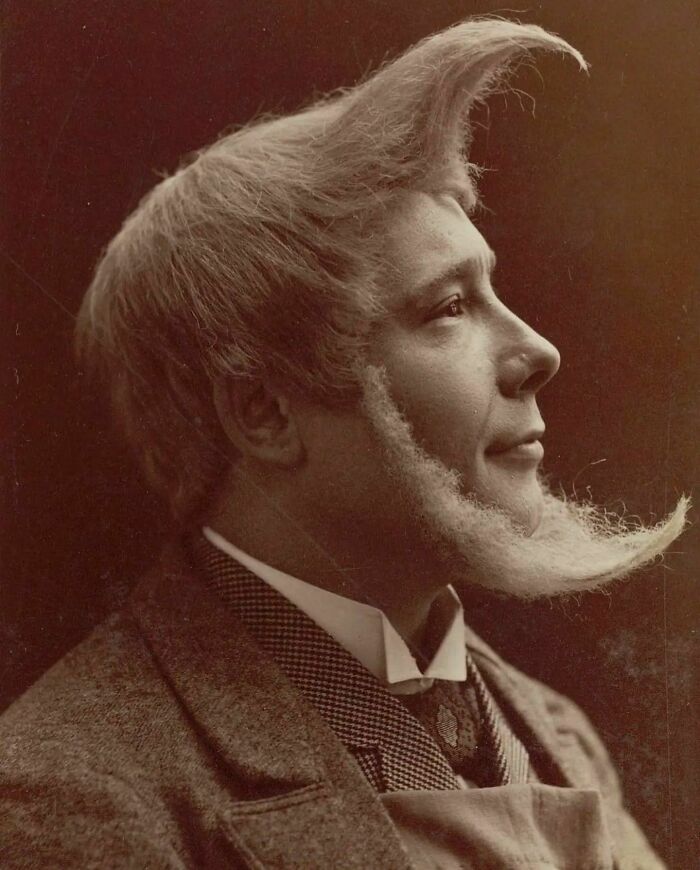 A Portrait Of An Interesting Hair Style From 1894