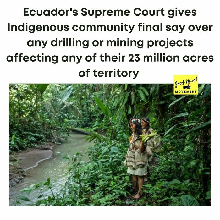 Amazon Watch Climate And Energy Director Kevin Koenig called the Constitutional Court Of Ecuador's decision "A Major Victory For Indigenous Peoples And An Important Step In Protecting Some Of The Most Environmentally Fragile And Culturally Sensitive Places In The Amazon."
"It Is Also A Reminder For Oil Companies And Investors That Expanding Oil Extraction In Ecuador's Amazon Is A Risk And Full Of Potential Legal Liabilities," Koenig Added.
the Court Rejected Plans To Drill For Oil In A Protected Area Of The Yasuní National Park In The Amazon And Now The More Than 23 Million Acres Will Be Protected, Both Good News For The Indigenous Community And Environment. @amazonfrontlines