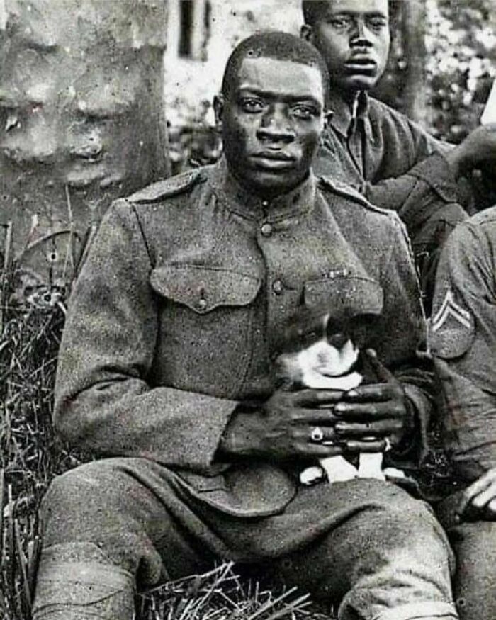 A Member Of The Harlem Hellfighters (369th Infantry Regiment) Poses For The Camera While Holding A Puppy He Saved During World War 1, 1918
