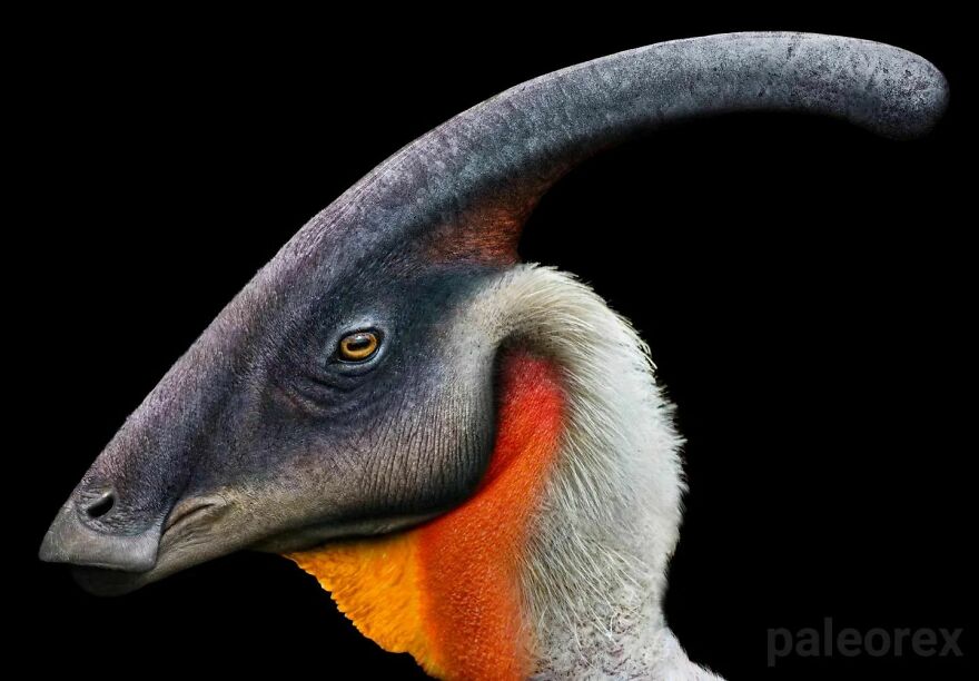 Illustration of an extinct animal with a curved horn and colorful neck created by an artist showing how extinct animals looked.