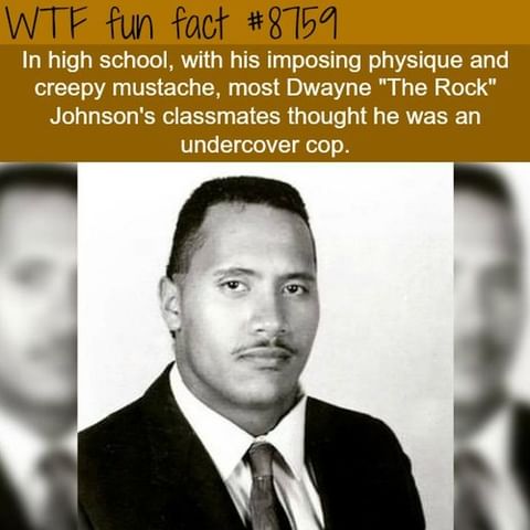 High School?! What Do You Take Me For? This Looks Like @therock A Week Ago!
.
daily Fun Facts @wtffunfacts
.
.
.
#wtffunfact #facto #factzoflife #factz💯 #factpage #truefacts💯 #freefacts #factsoninstagram #verifyfact #factlover #wtffunfacts #interesting #knowledges #dailyfact #allfacts #strangefacts #nowiknow #dailyfactsbox #knowledgebygoogle #thoughtprovoking #7facts #bigfact #mildlyinteresting #unbelivable #factsonly💯 #thecompletefacts #thefactmore #snapplefacts #uberfacts #theuntoldfact