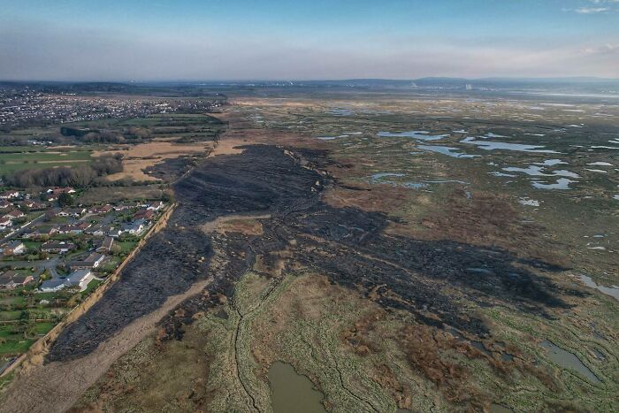 The Extent Of The Fire Damage On The Marshes Near To Parkgate, Cheshire