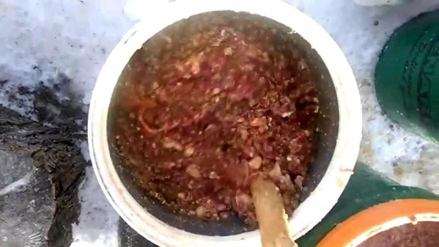 Cute Pictures Of This Year's Iditarod (15 Pics) Cute Pictures Of This Year's Iditarod (15 Pics)