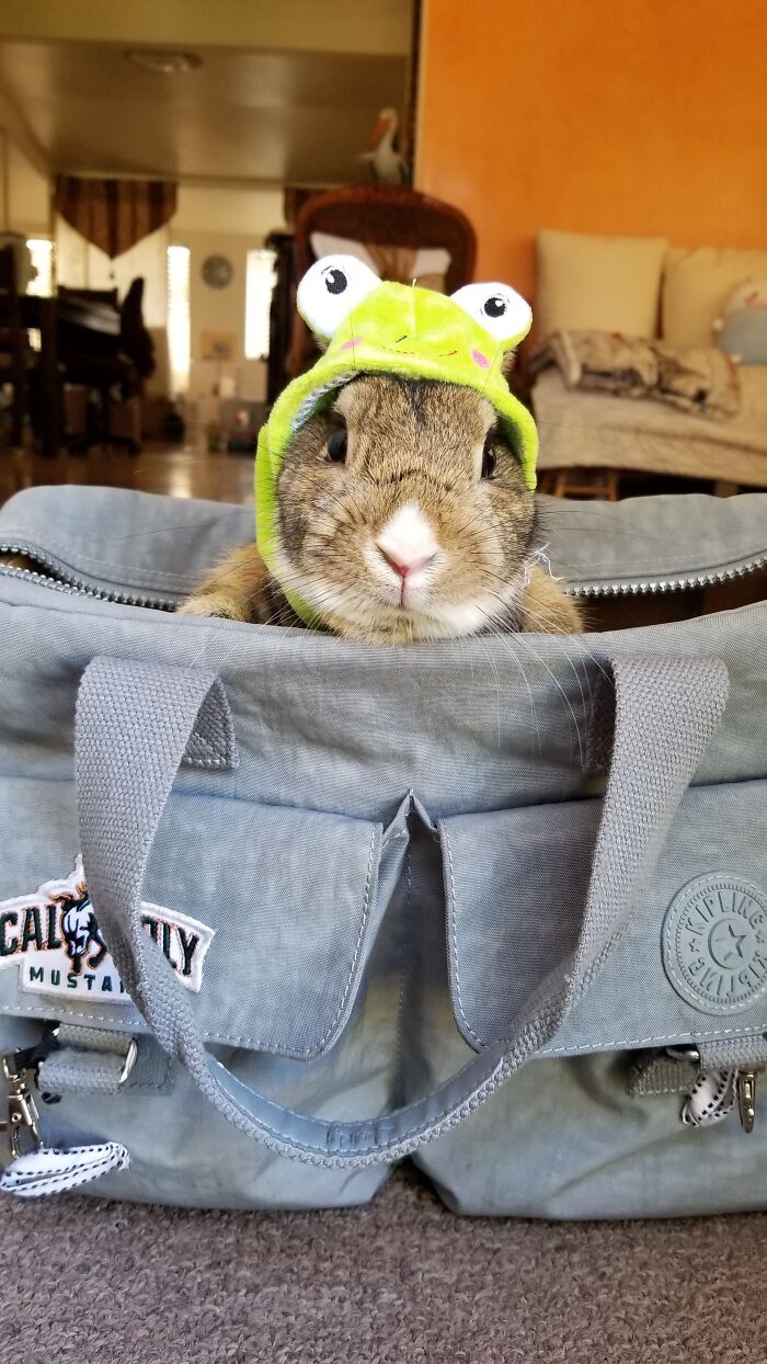 If You Kiss Me, I’ll Turn Into A Prince!