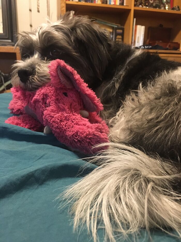 Just A Girl And Her Pink Elephant