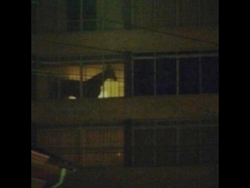 I Found 24 Of The Funniest And Weird Cursed Images