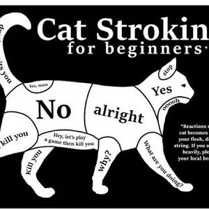 maxandmickey2012 avatar