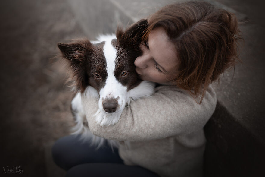 25 Of The Best Dog Photos I’ve Ever Taken - Nikol Kopp