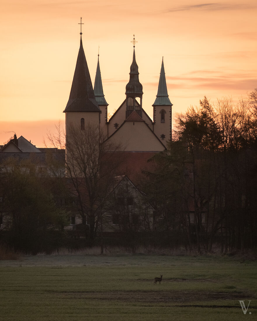 Saint John's Church In Rulle (Germany) With A Bonus-Roe Buck