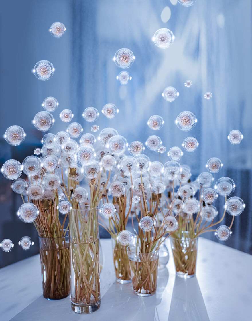 Dandelions And Bubbles Like Dreams In Lockdown