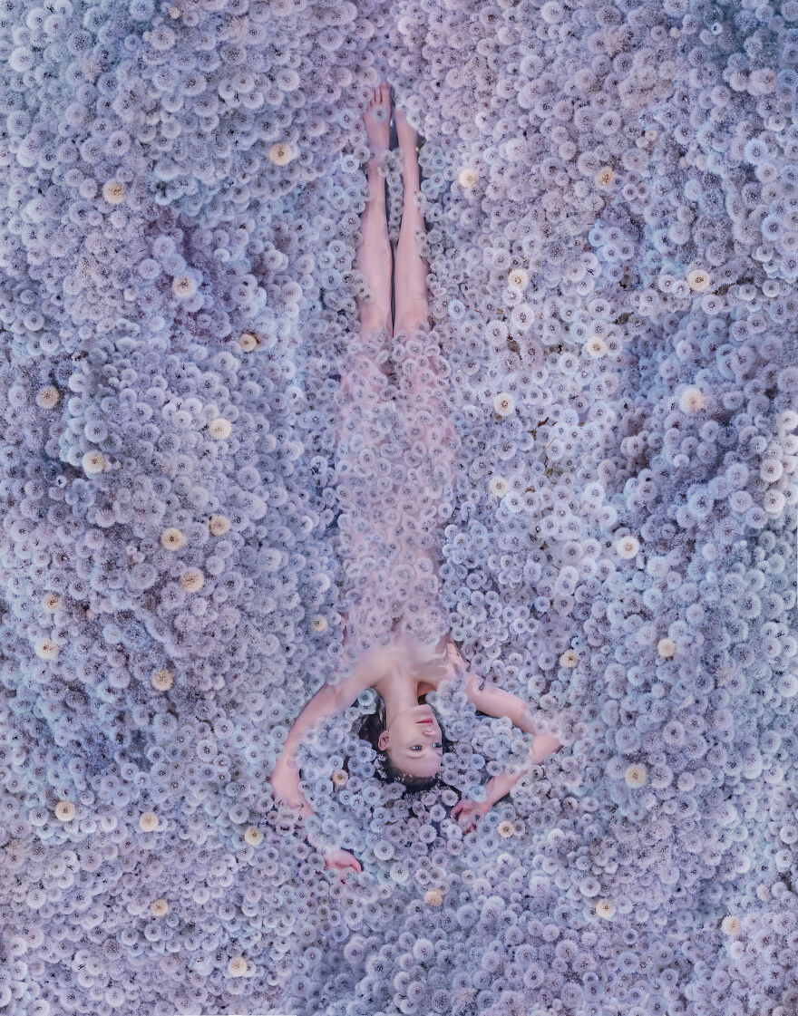 Dandelions And Bubbles Like Dreams In Lockdown