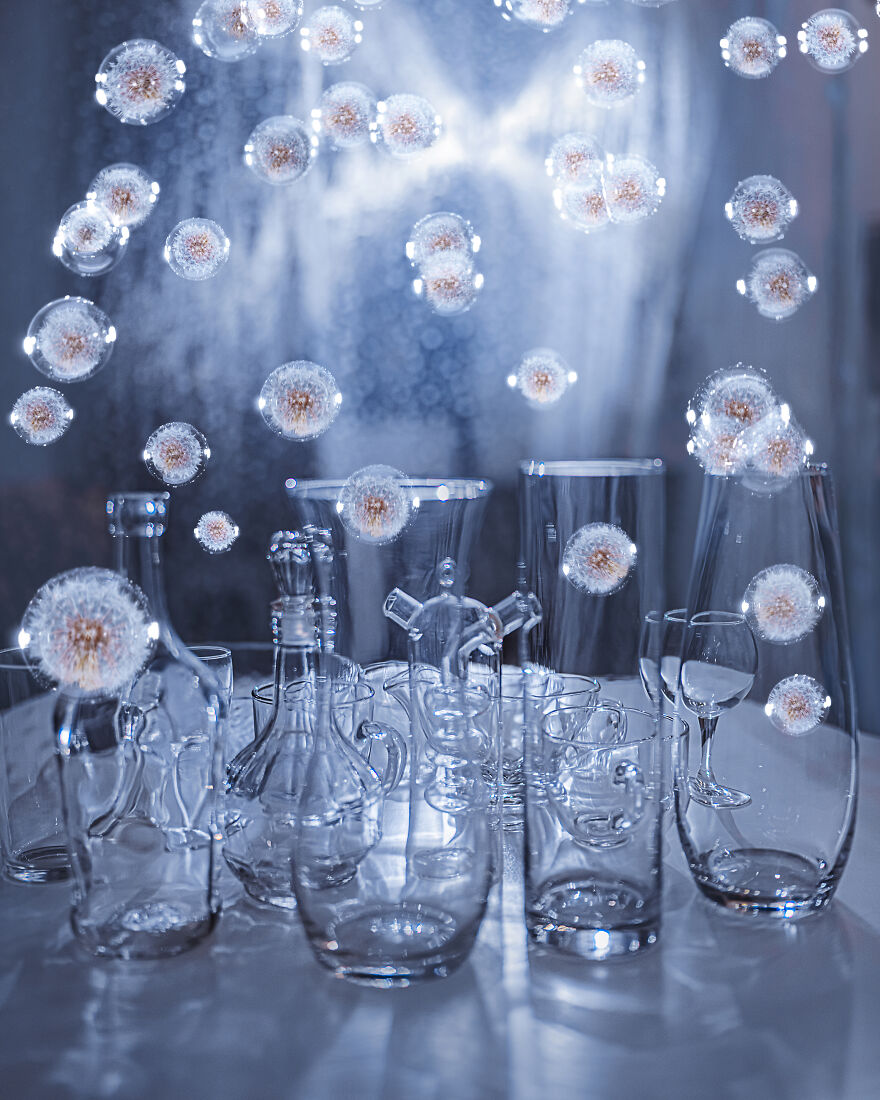 Dandelions And Bubbles Like Dreams In Lockdown