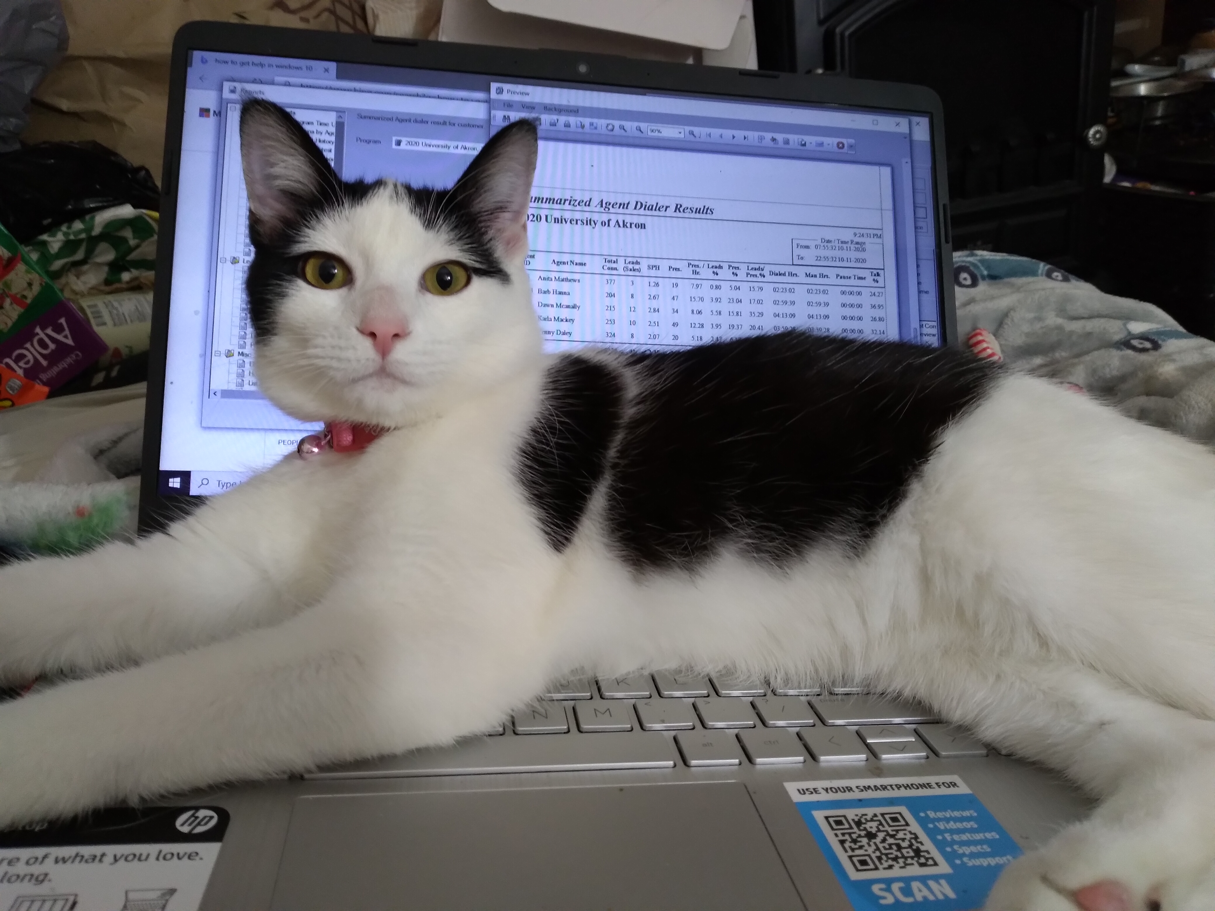 Does Your Critter Make It Hard For You To Work From Home?