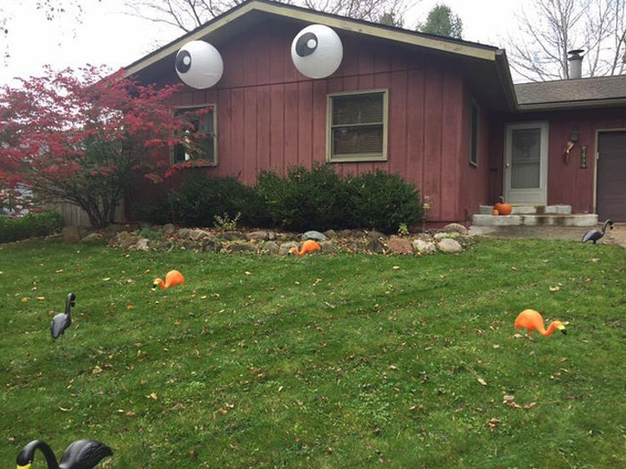 We Googly Eyed Our House