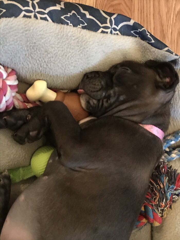 My Girl Lucy At 2 Months Old, Sleeping With Her Toys