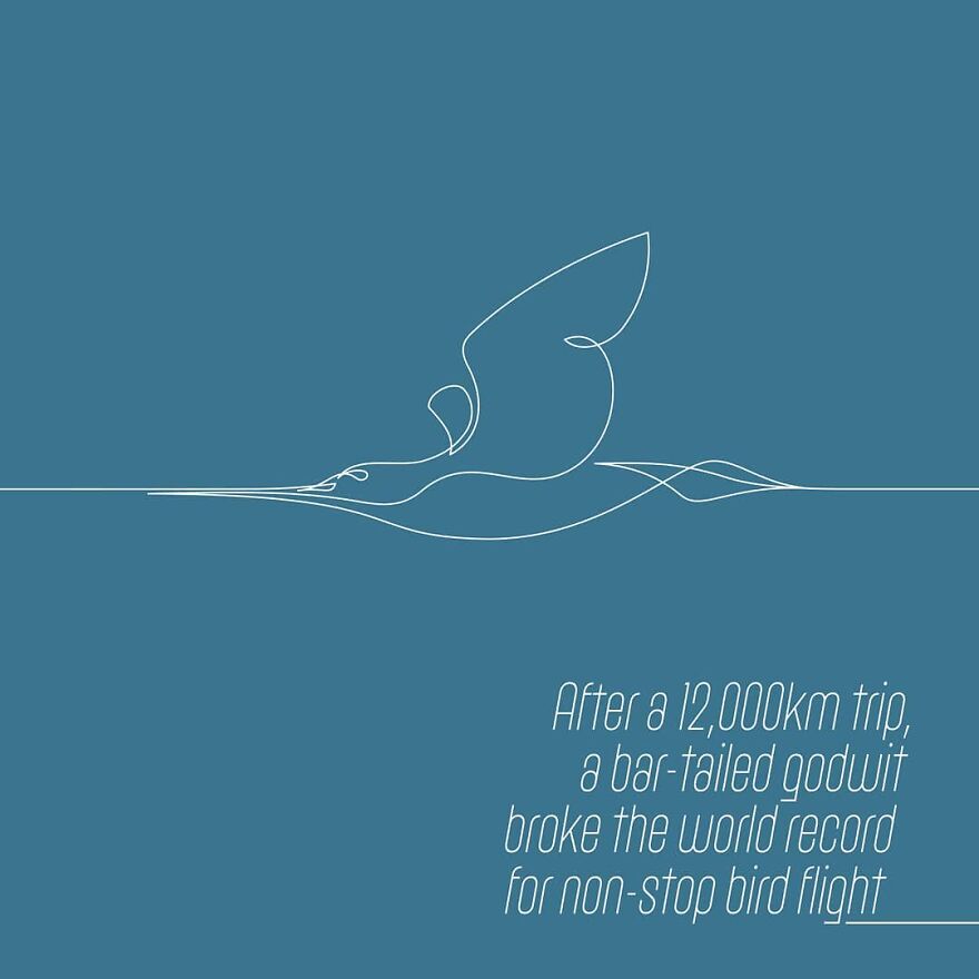 For The Past Two Years I Illustrated The Good News That Cannot Be Photographed. Here's 30 Of Them.