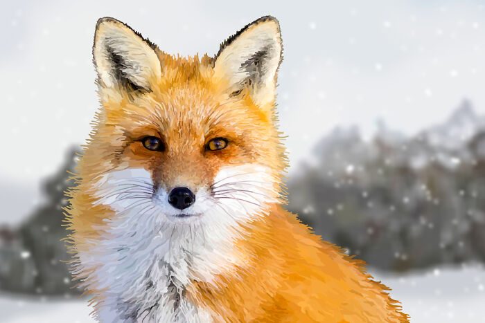 Animals, Wildlife And Nature Illustrations (9 Pics)