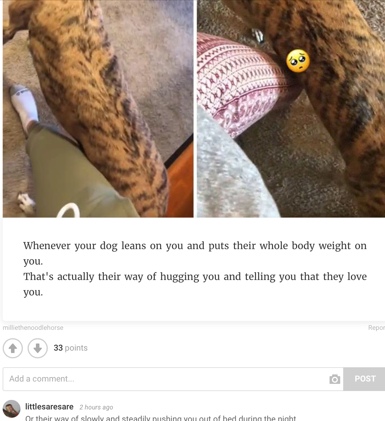 Hey Pandas! Show Me The Best Pic In Your Camera Roll