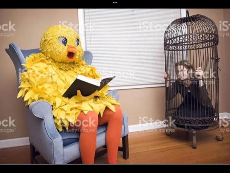 I Found 24 Of The Funniest And Weird Cursed Images I Found 24 Of The Funniest And Weird Cursed Images