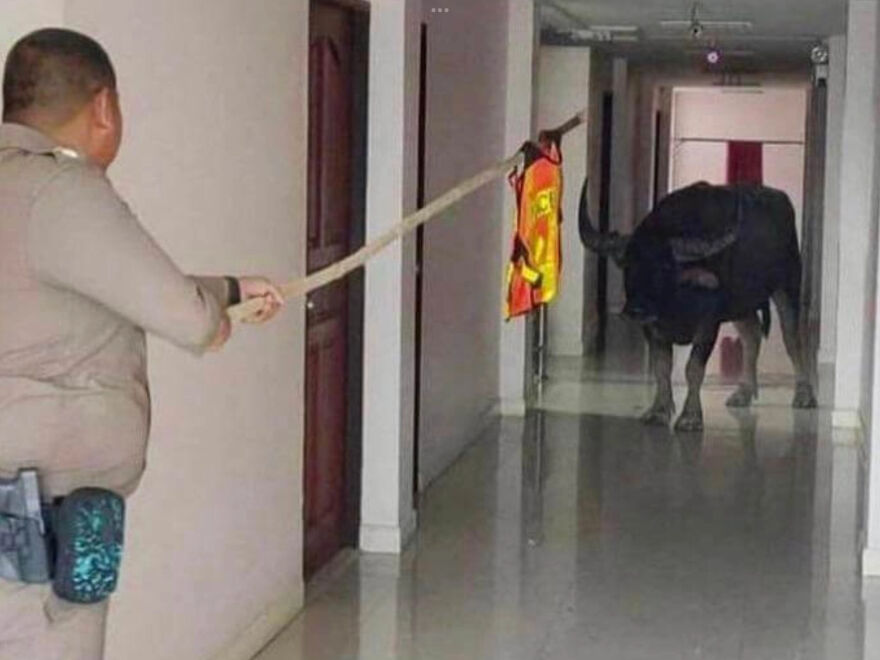 I Found 24 Of The Funniest And Weird Cursed Images