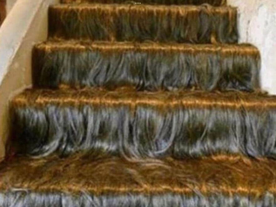 I Found 24 Of The Funniest And Weird Cursed Images I Found 24 Of The Funniest And Weird Cursed Images