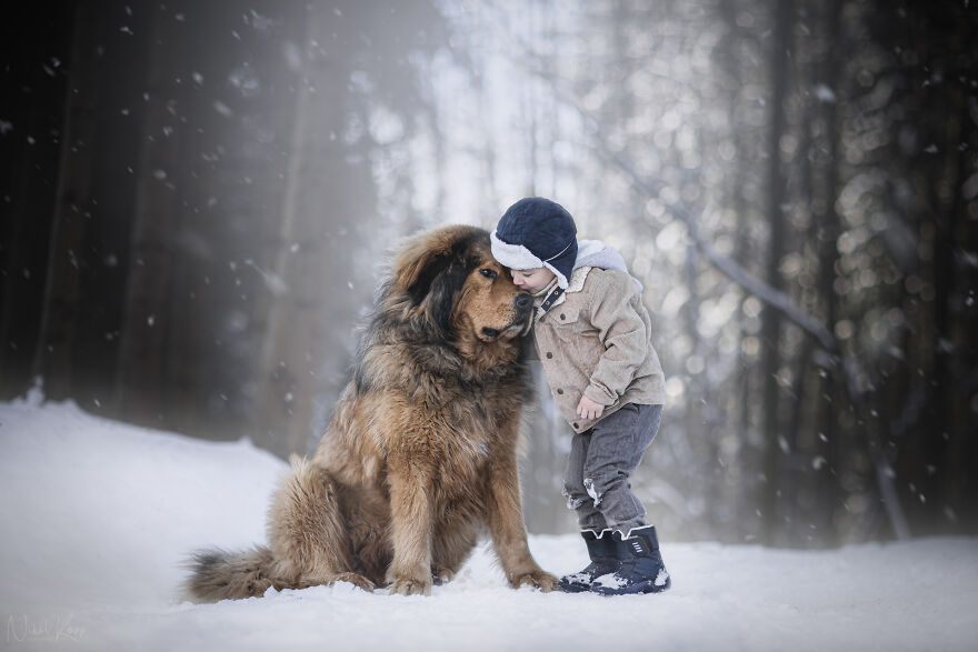 25 Of The Best Dog Photos I’ve Ever Taken - Nikol Kopp