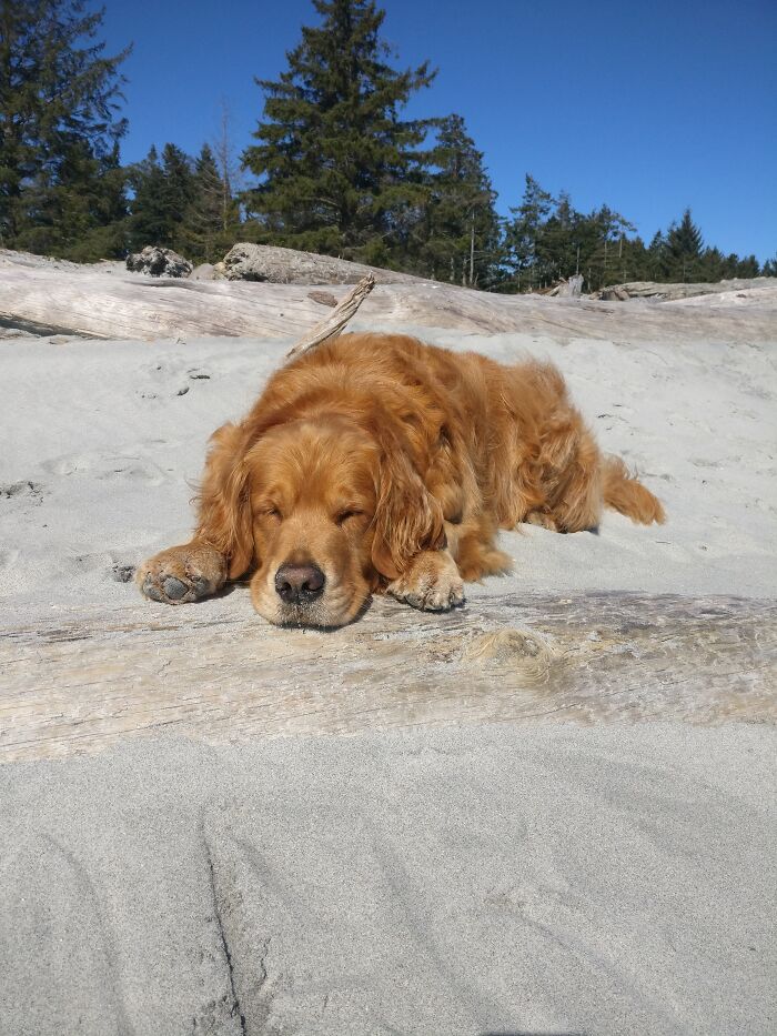 Long Day At The Beach