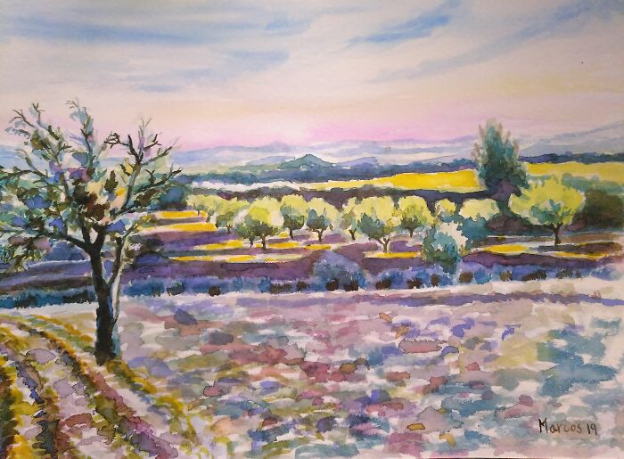 Almond Trees In El Romero. Watercolors