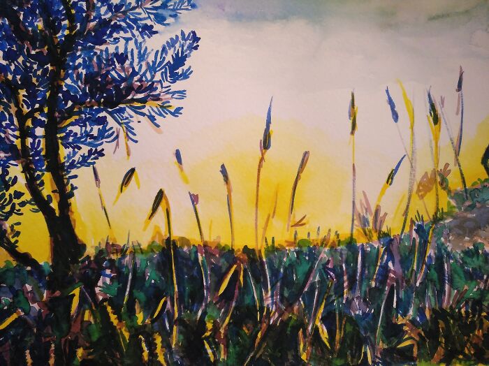 Olive Tree And High Grass. Watercolors