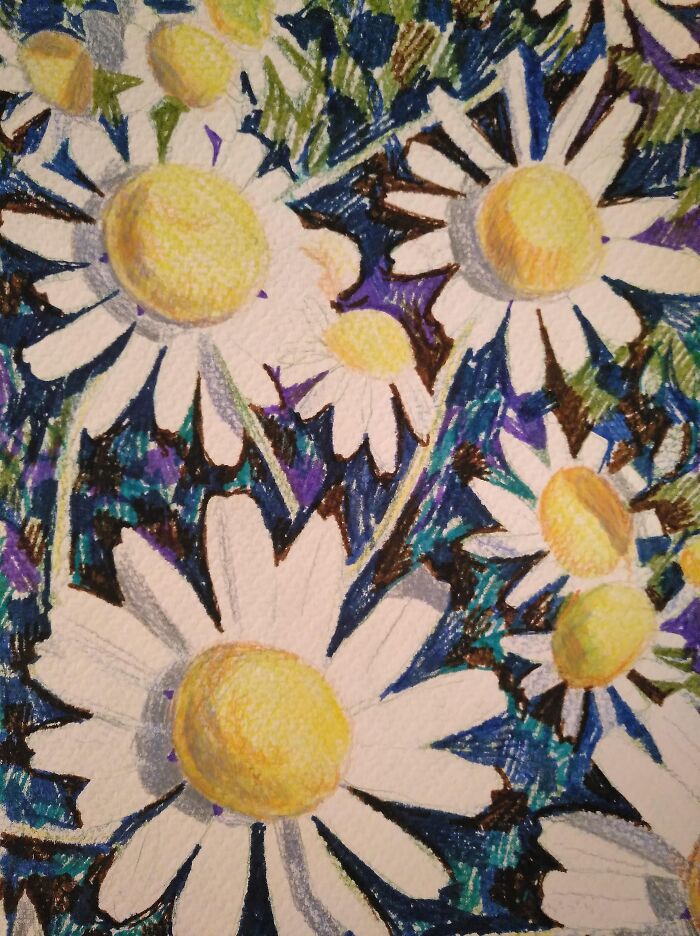 Wild Daisies. Markers And Colorful Pencils