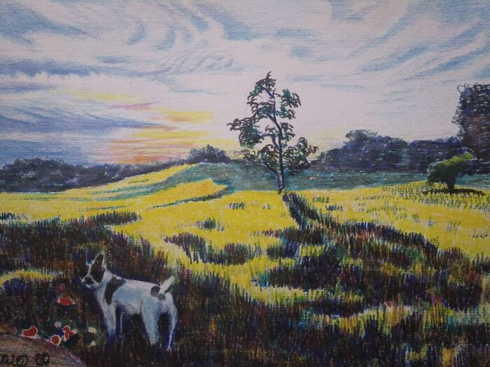 Pipo At Dawn. Colorful Pencils And Markers